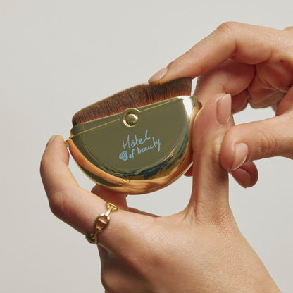 on the go travel brush