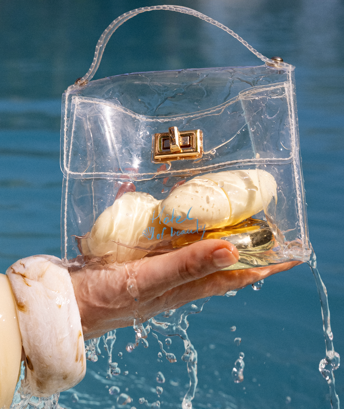 carry on beauty luggage